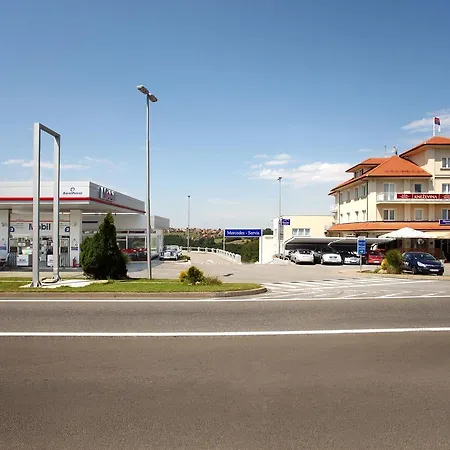 Knezevina